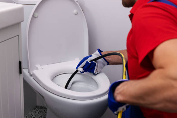 Best Clogged Drain Plumber  in Sigourney, IA