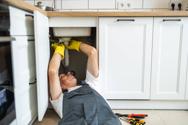 Best Affordable Plumbing Services  in Sigourney, IA